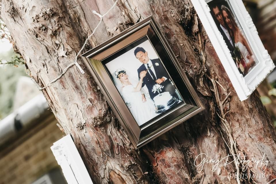 a picture of a couple hanging on a tree.