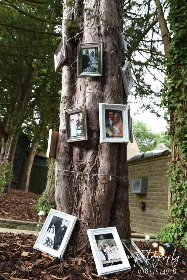 a tree with many pictures hanging on it.